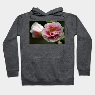 Hollyhock 9 Hoodie